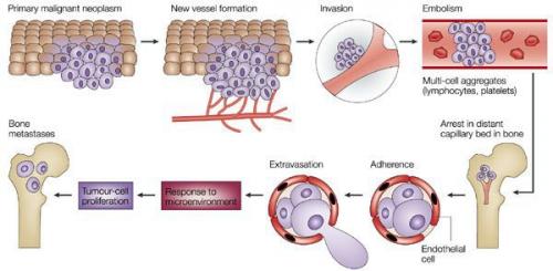 Как сохранить молодость и здоровье суставов. Меры сохранения суставного здоровья 01