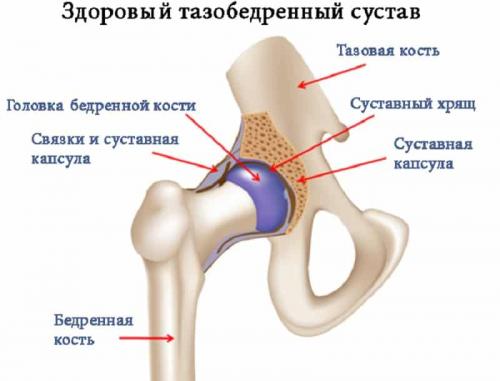 Какие последствия могут возникнуть в случае значительного увеличения ацетабулярного угла. Ацетабулярный индекс норма в 6 месяцев