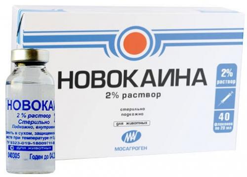 Компресс димексид с Новокаином. Компресс Димексида, Новокаина и Дексаметазона