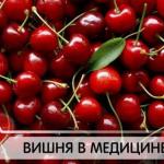 Смотреть Еще поздравления с 1 сентября видео Смотреть Еще поздравления с 1 сентября видео